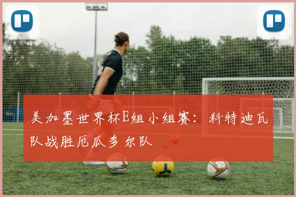 美加墨世界杯E组小组赛：科特迪瓦队战胜厄瓜多尔队